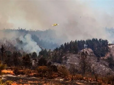 Шестеро людей загинули через лісові пожежі у Чилі