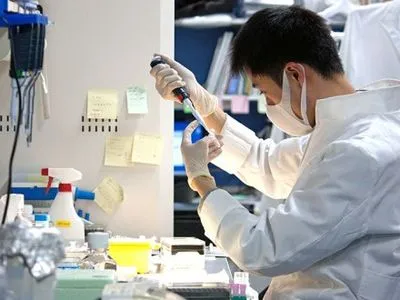 В Японии впервые в мире на межвидовом уровне вырастили орган из стволовых клеток