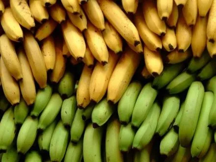 Более 90 тонн зараженных бананов пытались ввезти в Одесскую область
