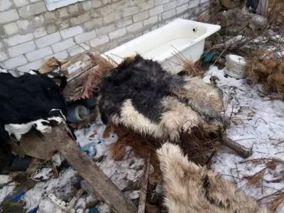 В Николаеве обнаружили живодера, который убивал собак