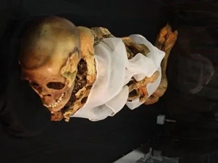 В Росії мумій з Ермітажу просканували на томографі