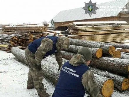 Полиция изъяла древесины без документов на полмиллиона гривен на Ровенщине