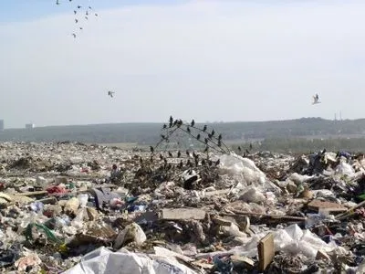 В Україні забруднено 20% земель – міністр екології