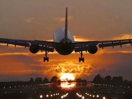 Сороконожка задержала вылет самолета из Омана в Лондон