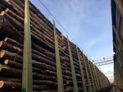 СБУ предотвратила незаконный экспорт древесины в Европу