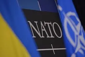 Украина вступит в НАТО не раньше 2020 года, но после референдума - И.Фриз