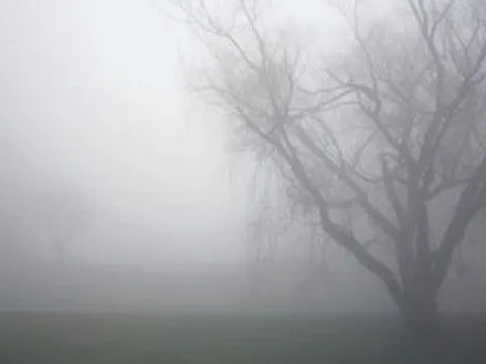 Сегодня в Киевской области ожидается туман