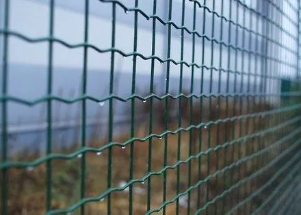 Латвия построила на границе с РФ уже 23 км ограждения