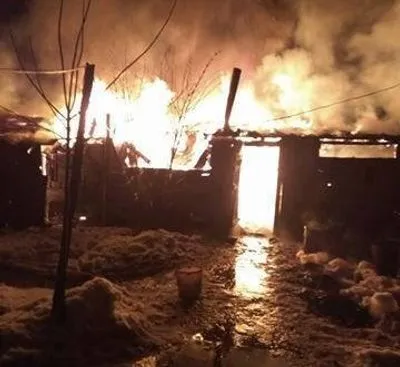 У львівському притулку для тварин спалахнула масштабна пожежа