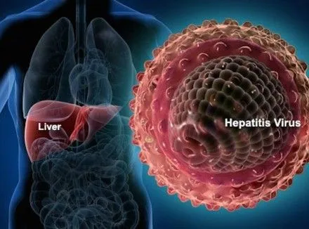 От гепатита С ежегодно умирает около 700 тыс. человек, вакцин от болезни нет - ВОЗ
