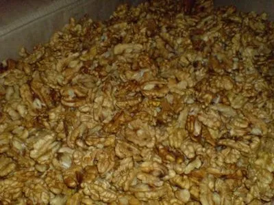 Луганська поліція затримала фуру з 19 тоннами контрабандних горіхів