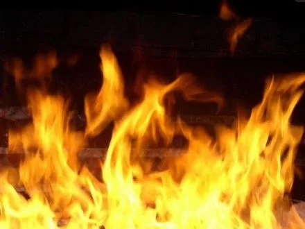 Пожар произошел на территории школы в Черкасской области