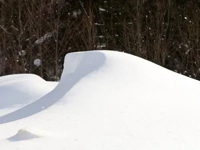 Автобус та "швидку" із породіллею замело снігом на Рівненщині