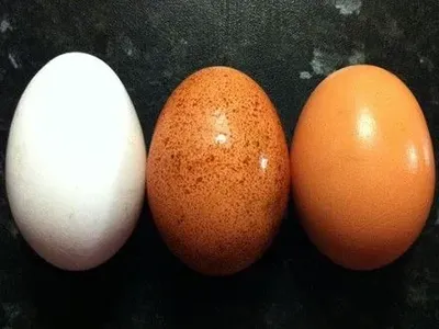 Среди продуктов в Киеве за месяц подешевели только яйца