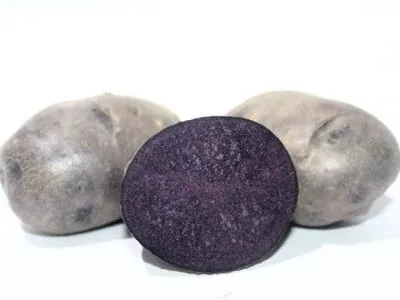 Розовую и фиолетовую картошку вывели в Украине