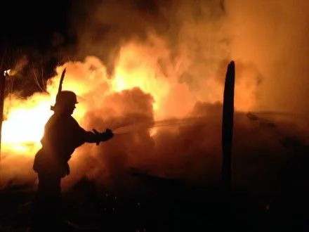 С начала года в Украине на пожарах погибло 379 граждан