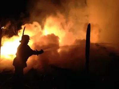 С начала года в Украине на пожарах погибло 379 граждан