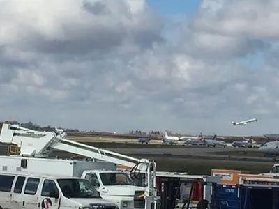 Самолет столкнулся с оленем в одном из аэропортов в США