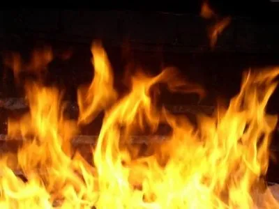 Пожар произошел на территории школы в Закарпатье