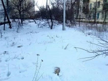 Тело пропавшей в начале месяца женщины обнаружили в Кировоградской области