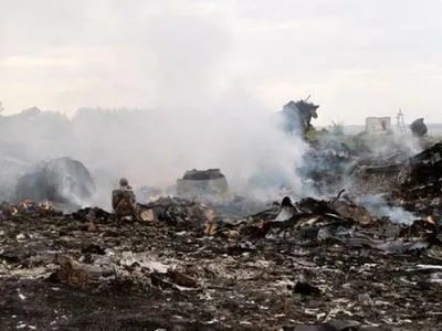 Нидерланды ожидают восстановления поисков на месте падения MH17 весной