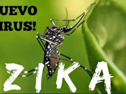 microsoft-rozrobila-robota-dlya-vidlovu-komariv-nosiyiv-virusiv