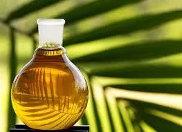 Близько 90% імпортованих в Україну олій складає пальмова