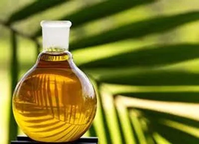 Близько 90% імпортованих в Україну олій складає пальмова