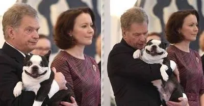Собака президента Финляндии покорила соцсети