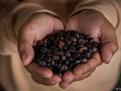 Бразилия впервые в своей истории вынуждена импортировать кофе