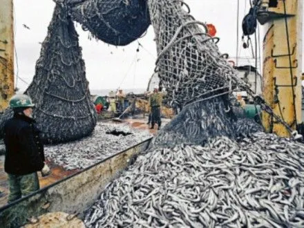 Около 30 тыс. тонн рыбы в прошлом году выловили в водоемах Украины