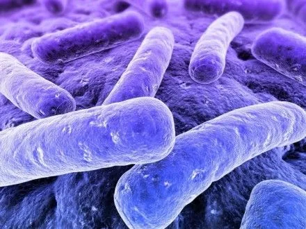slidi-naydavnishikh-bakteriy-na-zemli-znayshli-u-kanadi