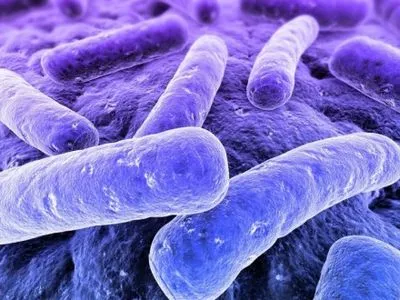 Сліди найдавніших бактерій на Землі знайшли у Канаді