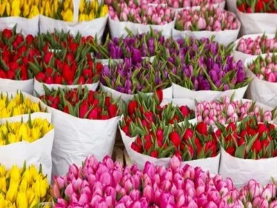 Цены на цветы в украинских городах накануне 8 марта - инфографика