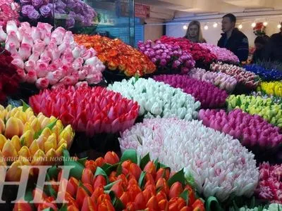 Цветы в Киеве в преддверии 8 марта можно купить в среднем от 20 до 100 грн за штучку