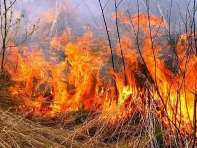 Тричі за добу на Кіровоградщині гасили пожежі сухостою