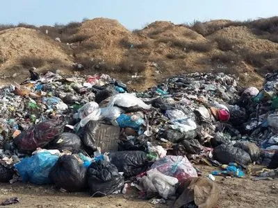 Правоохранители выяснят, как на побережье Днестровского лимана оказался львовский мусор
