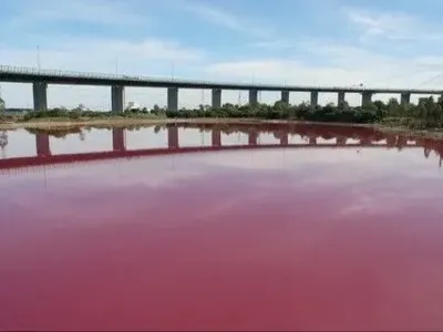 Соленое озеро в Австралии стало розовым из-за изменений погодных условий