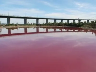 Соленое озеро в Австралии стало розовым из-за изменений погодных условий