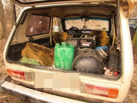 Копателей янтаря - нелегалов задержали в Житомирской области