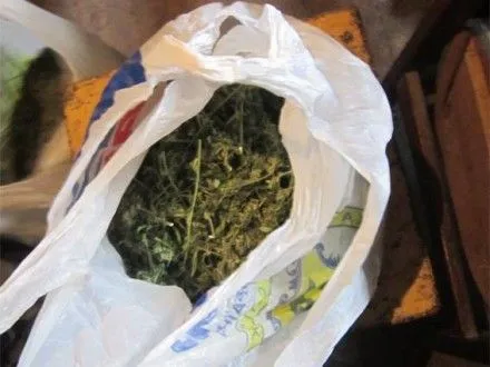 Мужчина хранил наркотики в ульях в Кировоградской области
