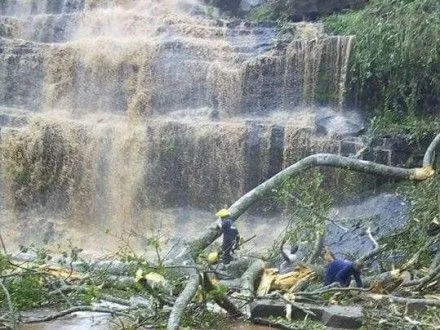 Падаюче дерево вбило 19 осіб на водоспадах Гани