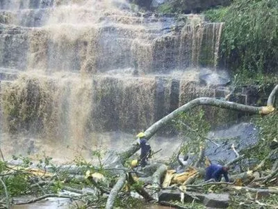 Падающее дерево убило 19 человек на водопадах Ганы