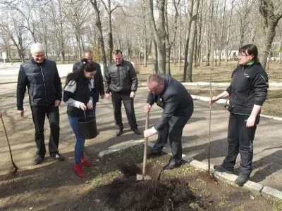 В Кировоградской области посадили 43 рябины в память о героях АТО