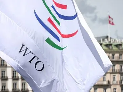 В ВТО создали группу экспертов по транзитному иску Украины против РФ - Н.Мыкольская