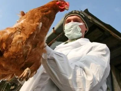 В Японії зафіксовано пташиний грип H5N6