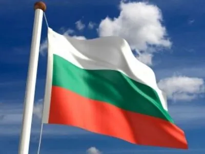 В Болгарии начались досрочные парламентские выборы