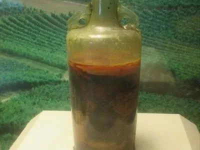 Вчені показали найстарішу у світі пляшку вина