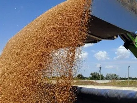 Україна експортувала 2016 року до Єгипту понад 5,5 млн т зернових