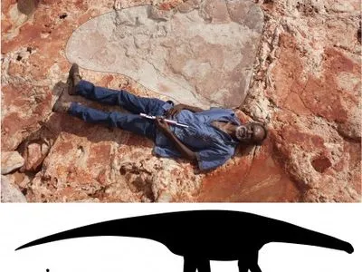 Крупнейший в мире след динозавра обнаружили в Австралии
